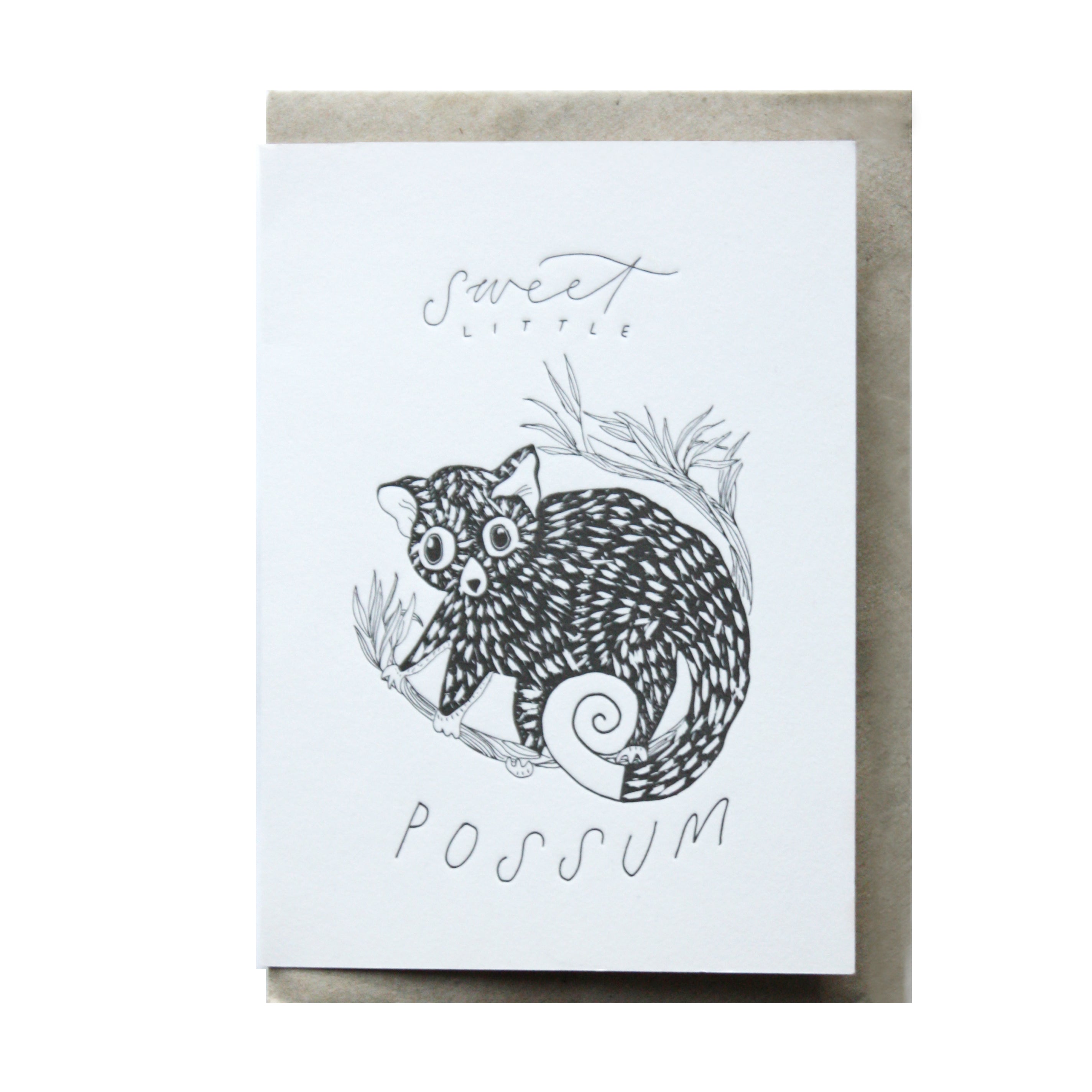 Sweet Little Possum