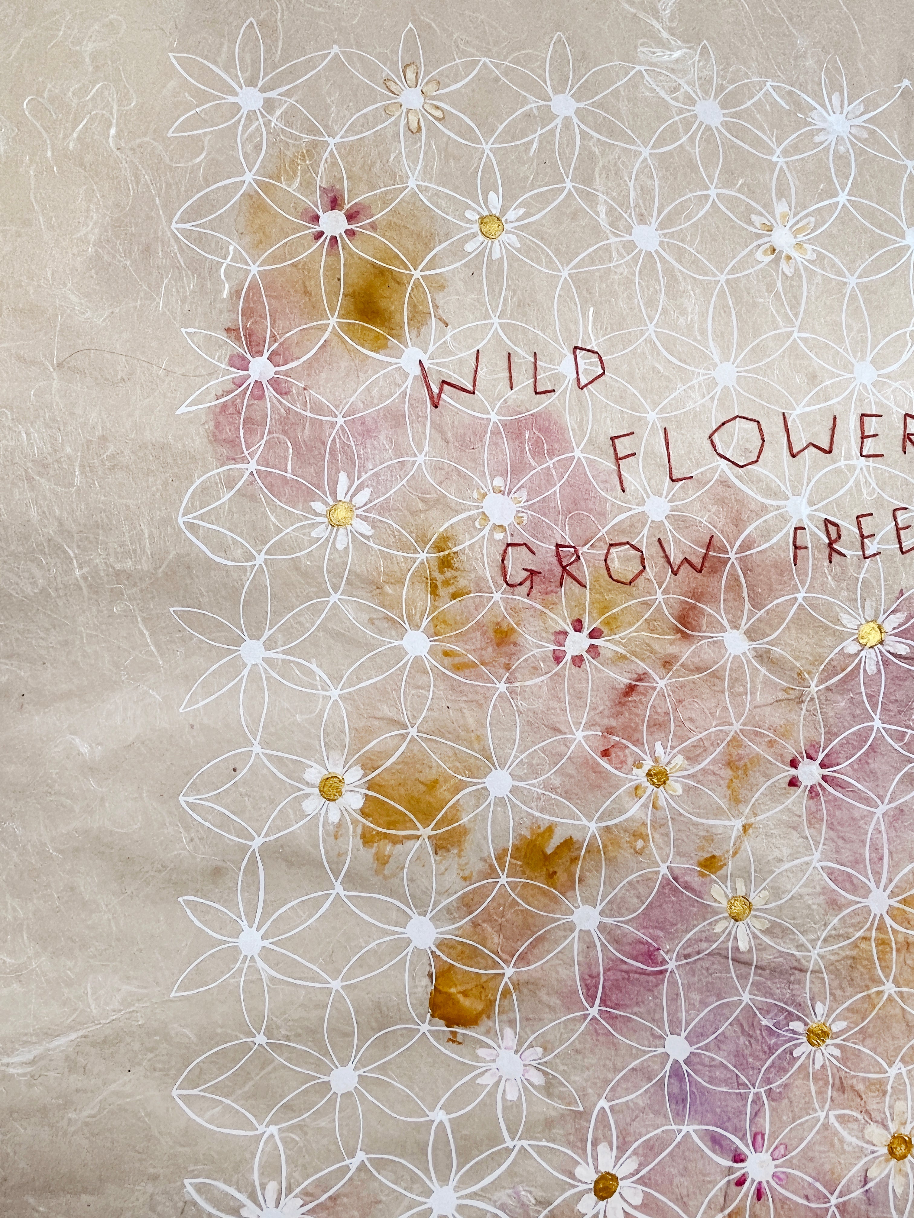 Wildflower Musings - Wild Flowers Grow Freely