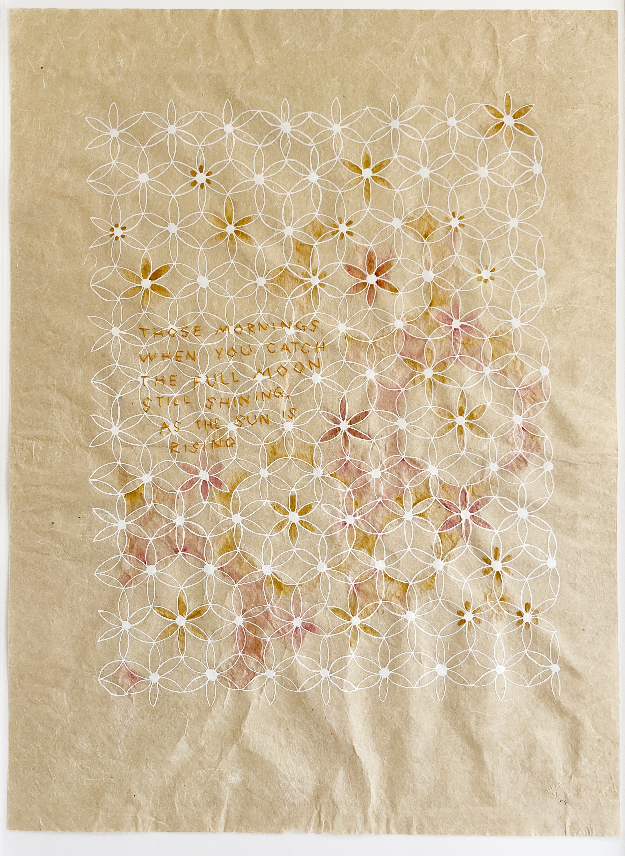 Wildflower Musings - "Those Mornings..."