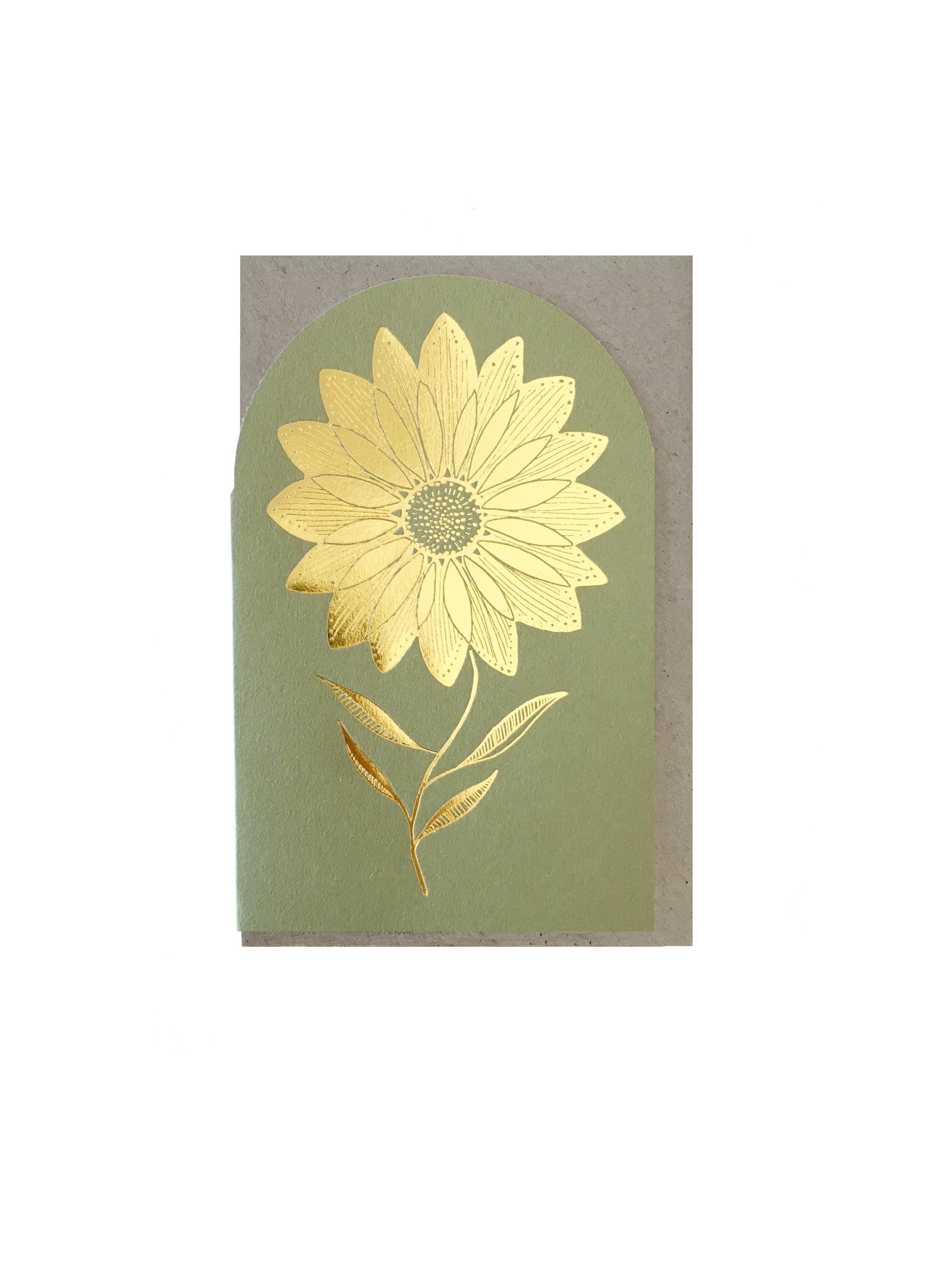 Sunflower ~ green fields