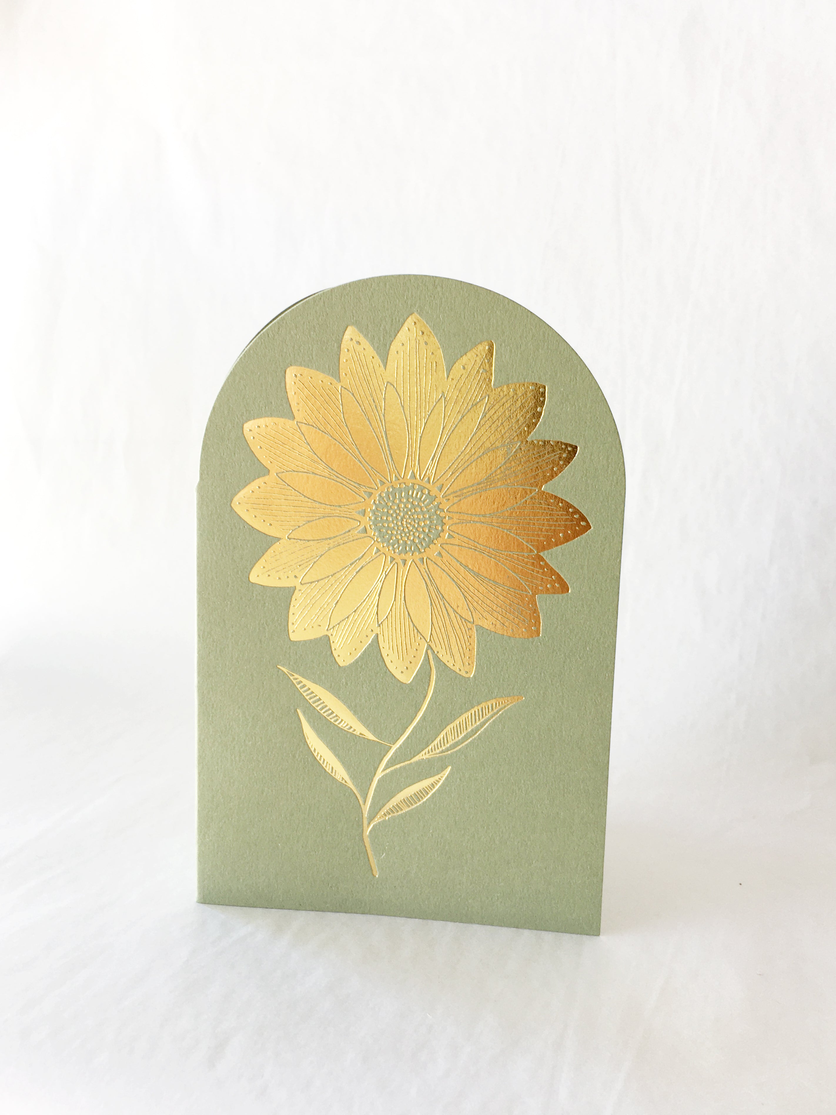 Sunflower ~ green fields