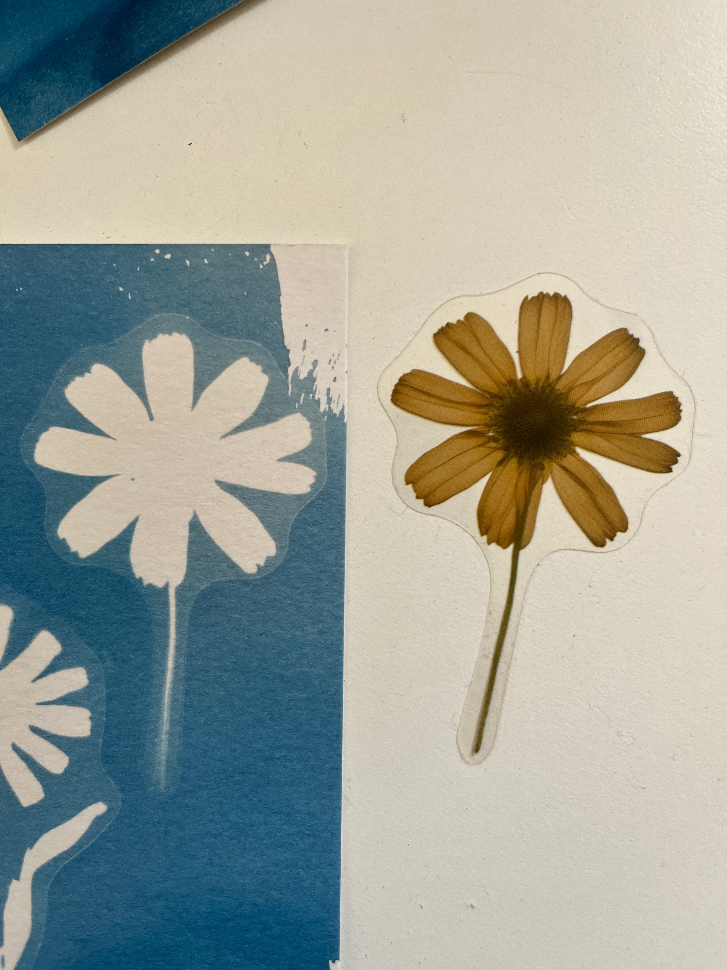 Cyanotype Sun Printing Paper TLP