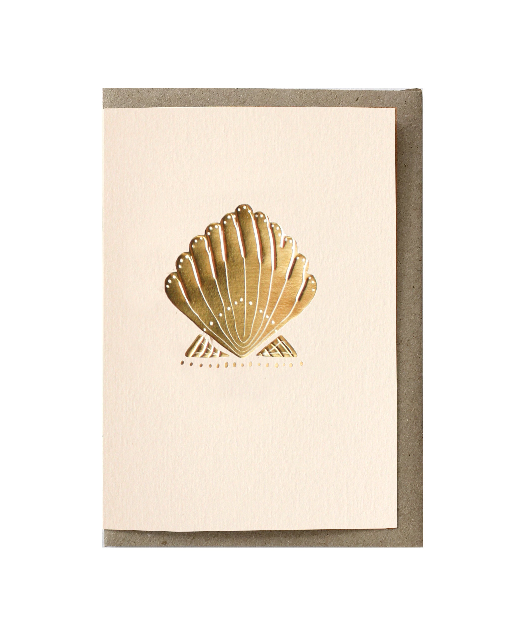 SEASHELL greeting card